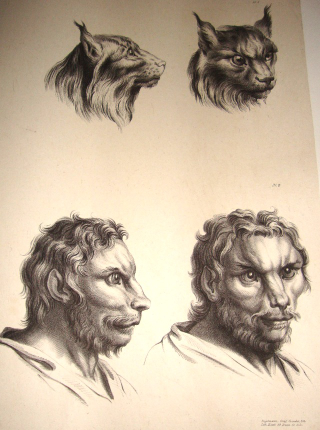 Illustration for article titled Baroque-Era Drawings Reveal Early Ideas About Evolution